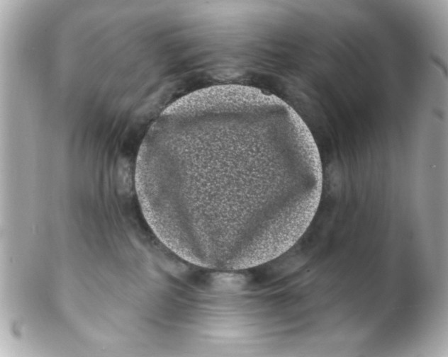 X0000102290234200808152001