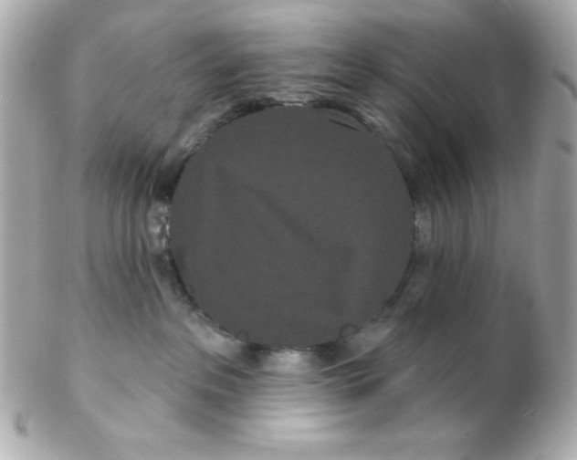 X0000102290237200808152001