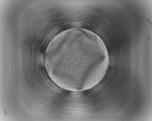 X0000102290238200808152001