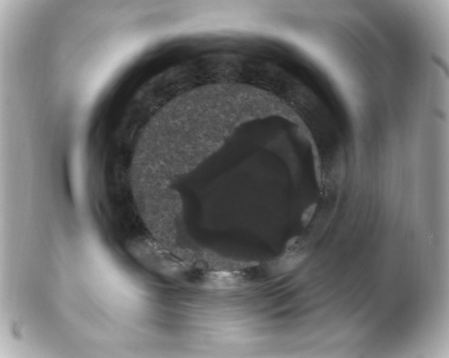 X0000102290239200808152001