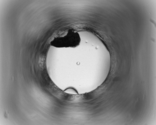 X0000102290240200808152001