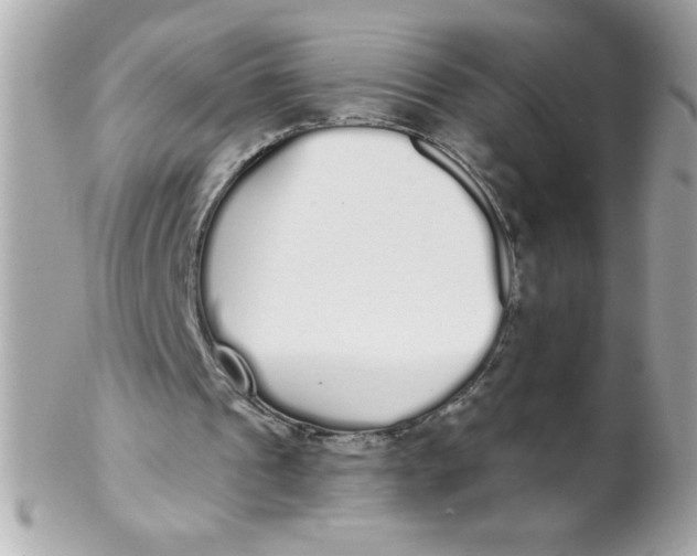 X0000102290241200808152000