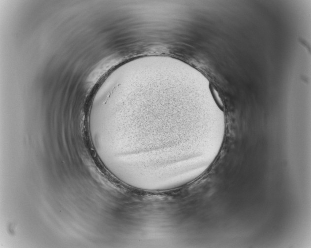 X0000102290242200808152000