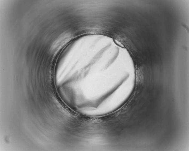 X0000102290243200808152000