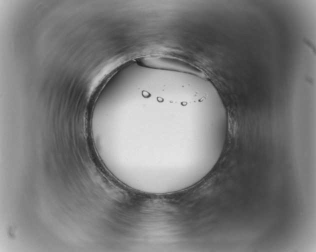 X0000102290244200808152000