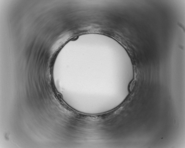 X0000102290245200808152000