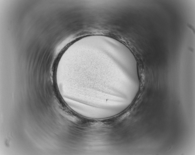 X0000102290246200808152000