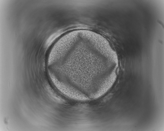 X0000102290247200808152000