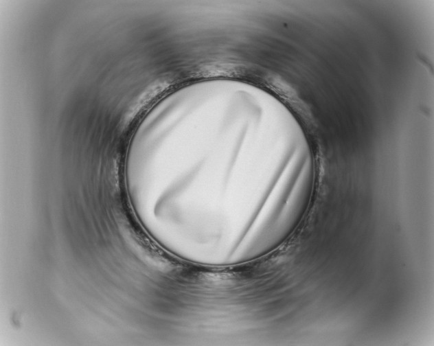 X0000102290250200808152000