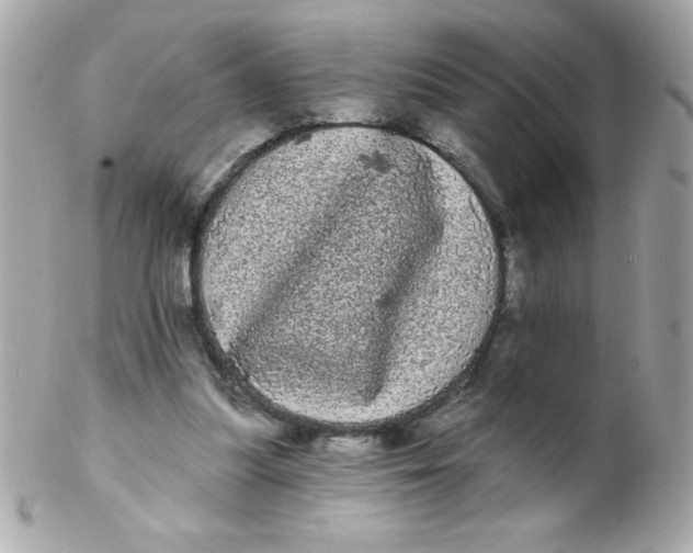 X0000102290251200808152000