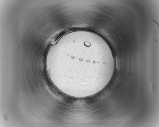 X0000102290252200808152000