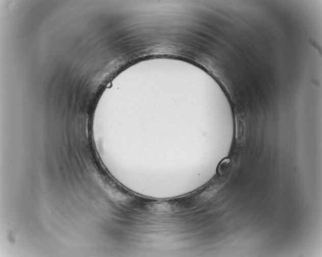 X0000102290253200808152000