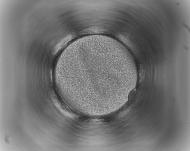 X0000102290254200808152000