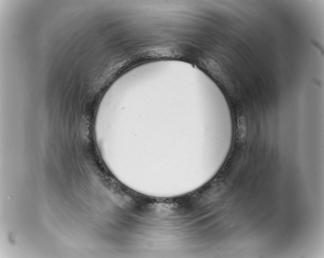 X0000102290255200808152000