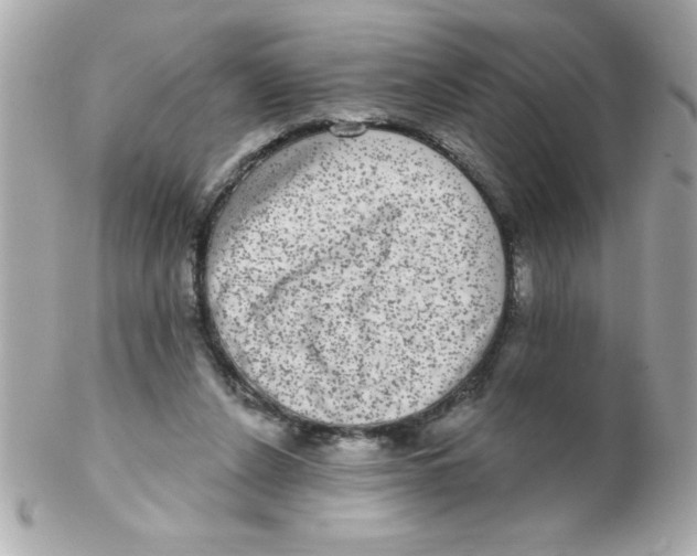 X0000102290256200808152001