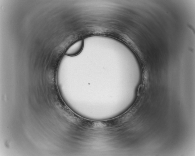 X0000102290257200808152001