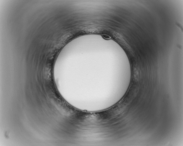 X0000102290259200808152001