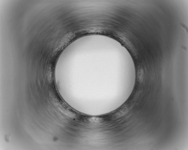 X0000102290261200808152001