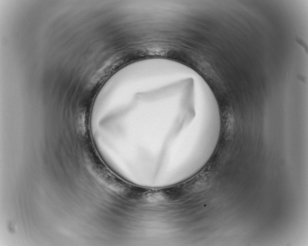 X0000102290262200808152001