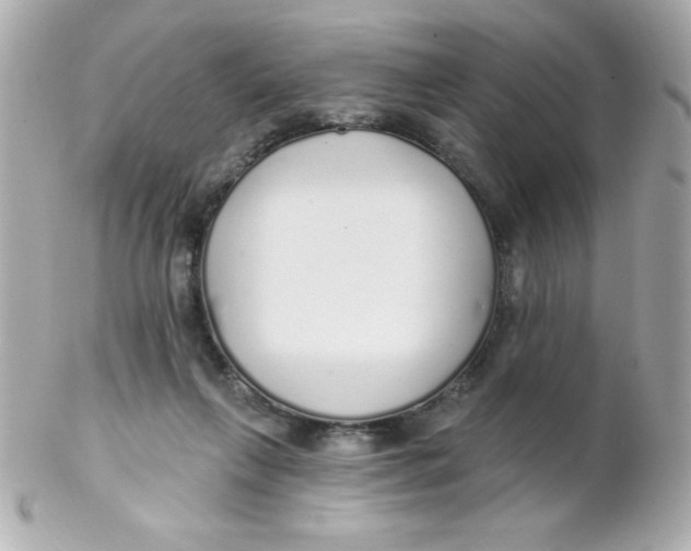 X0000102290263200808152001