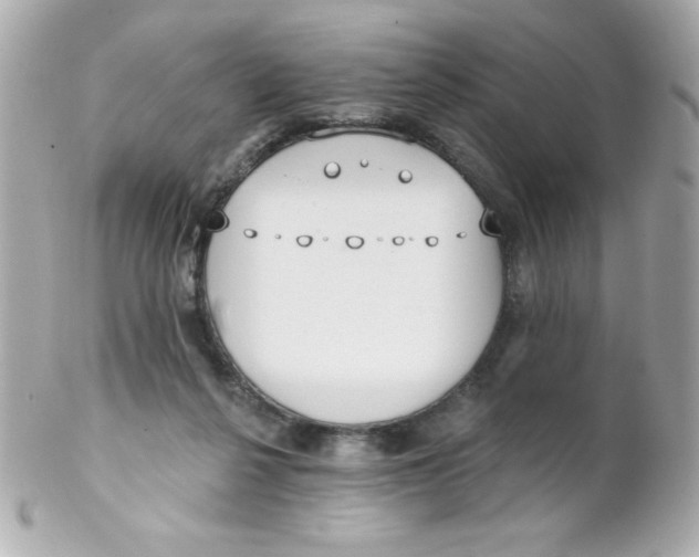 X0000102290264200808152001