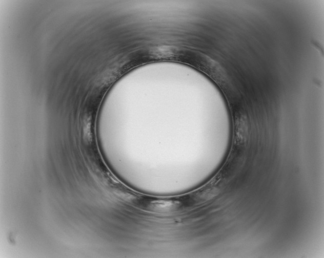 X0000102290267200808152001