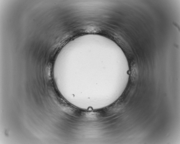 X0000102290268200808152001