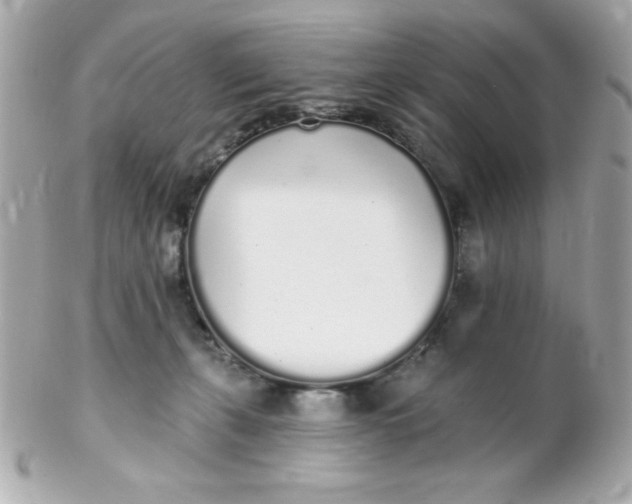 X0000102290271200808152001