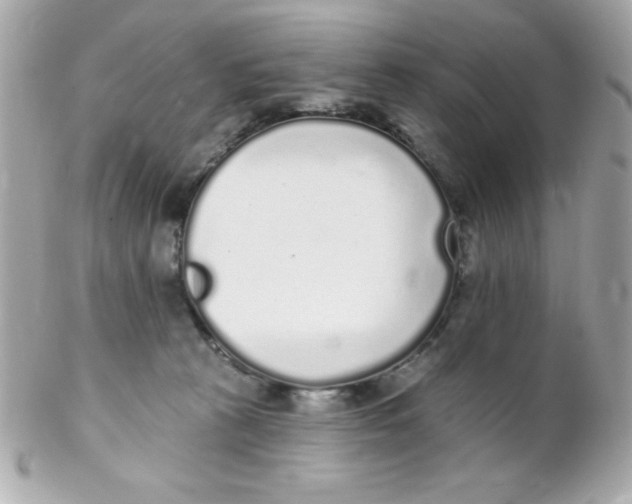 X0000102290273200808152001