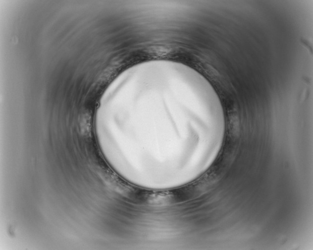 X0000102290274200808152001