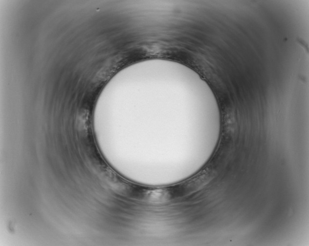 X0000102290275200808152001