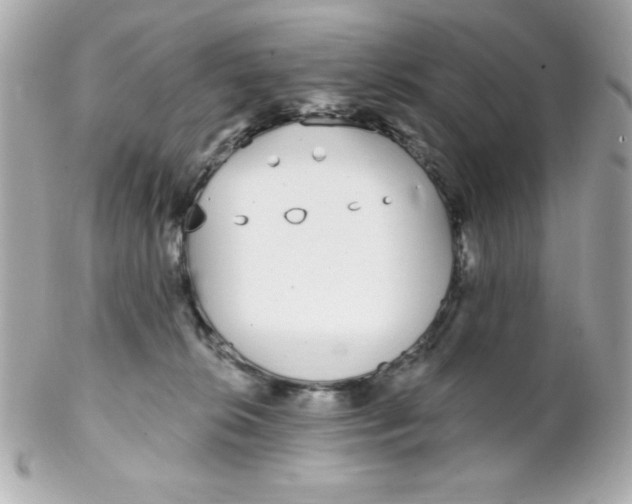 X0000102290276200808152001