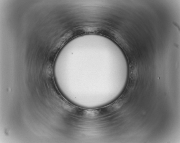 X0000102290277200808152001