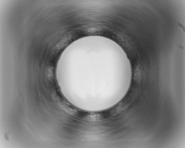 X0000102290278200808152001