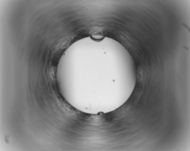 X0000102290280200808152001