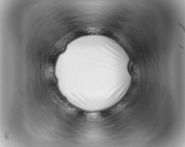 X0000102290281200808152001