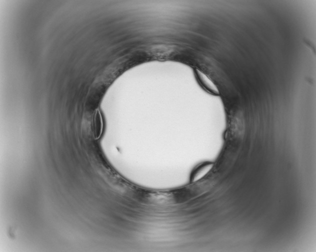 X0000102290283200808152001