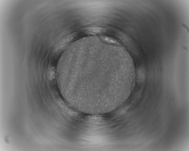 X0000102290284200808152001