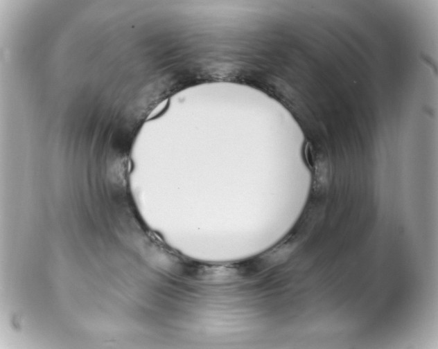 X0000102290286200808152001