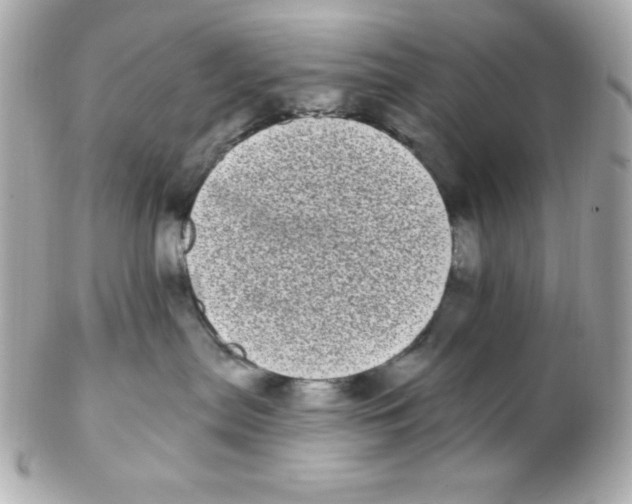 X0000102290287200808152001