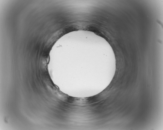 X0000102290288200808152001