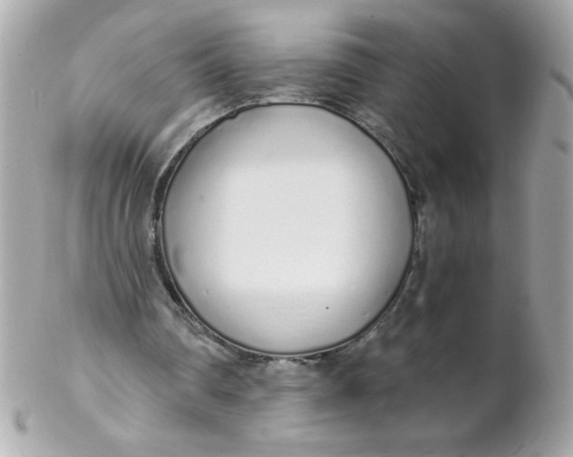 X0000102290290200808152000