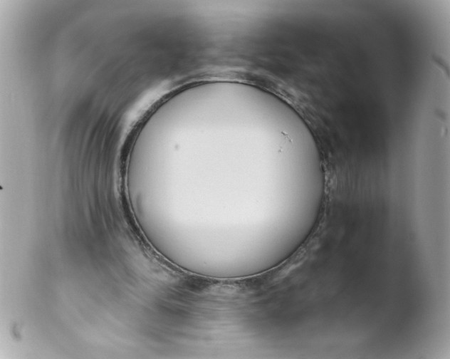 X0000102290294200808152000