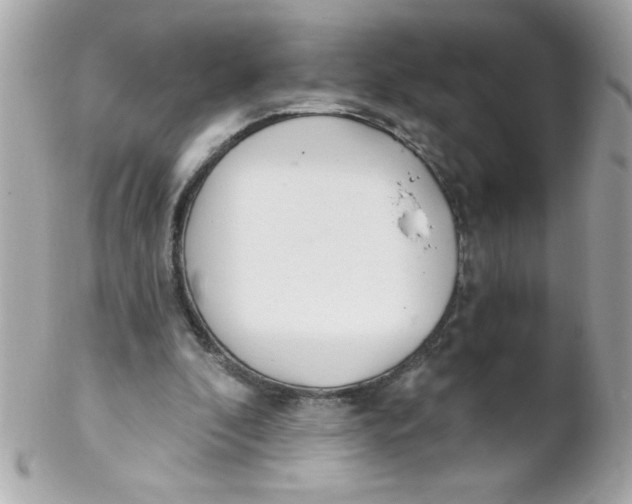 X0000102290296200808152000