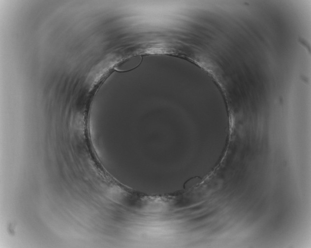 X0000102290297200808152000