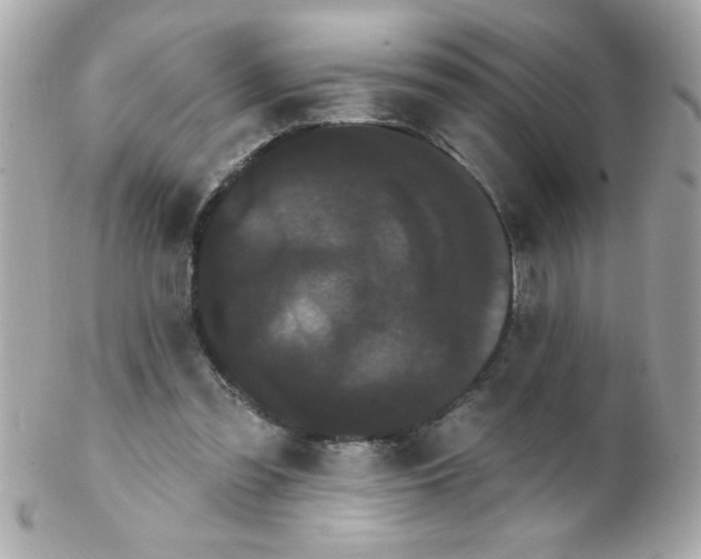 X0000102290301200808152000