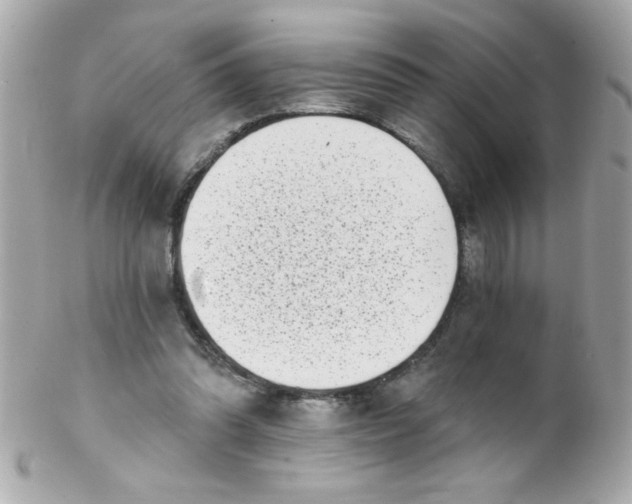 X0000102290302200808152000