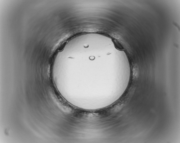 X0000102290304200808152000