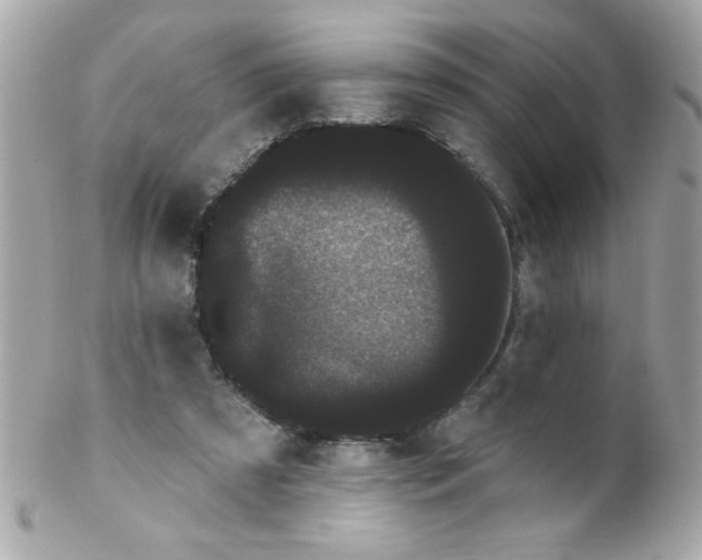 X0000102290305200808152000