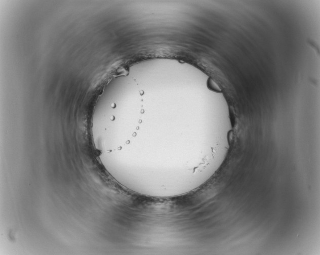 X0000102290306200808152000